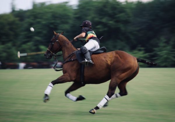 Man-riding-horse-playing-sport